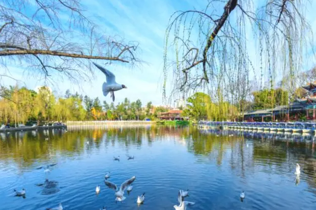 睿投文旅与某省文旅集团签署战略合作协议